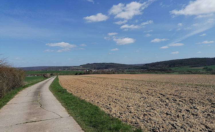 Trainingsplatz Hundeschule Schlitz