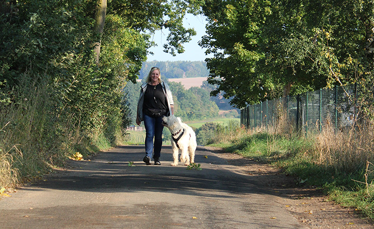 Hundeschule Schlitz